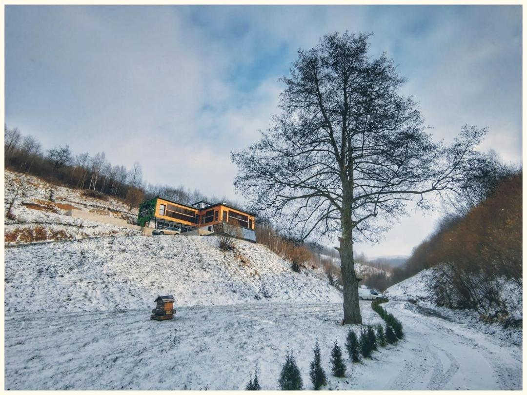 Alter Ego Hotel Valea Draganului Luaran gambar